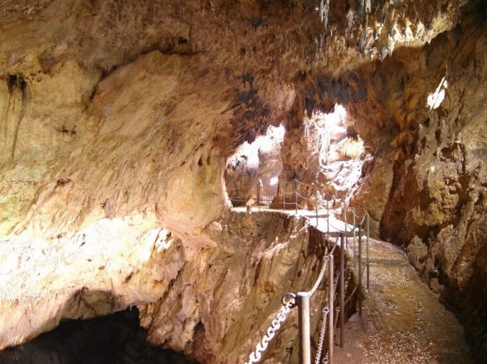 La Grotta di Altamira - L'ingresso della grotta